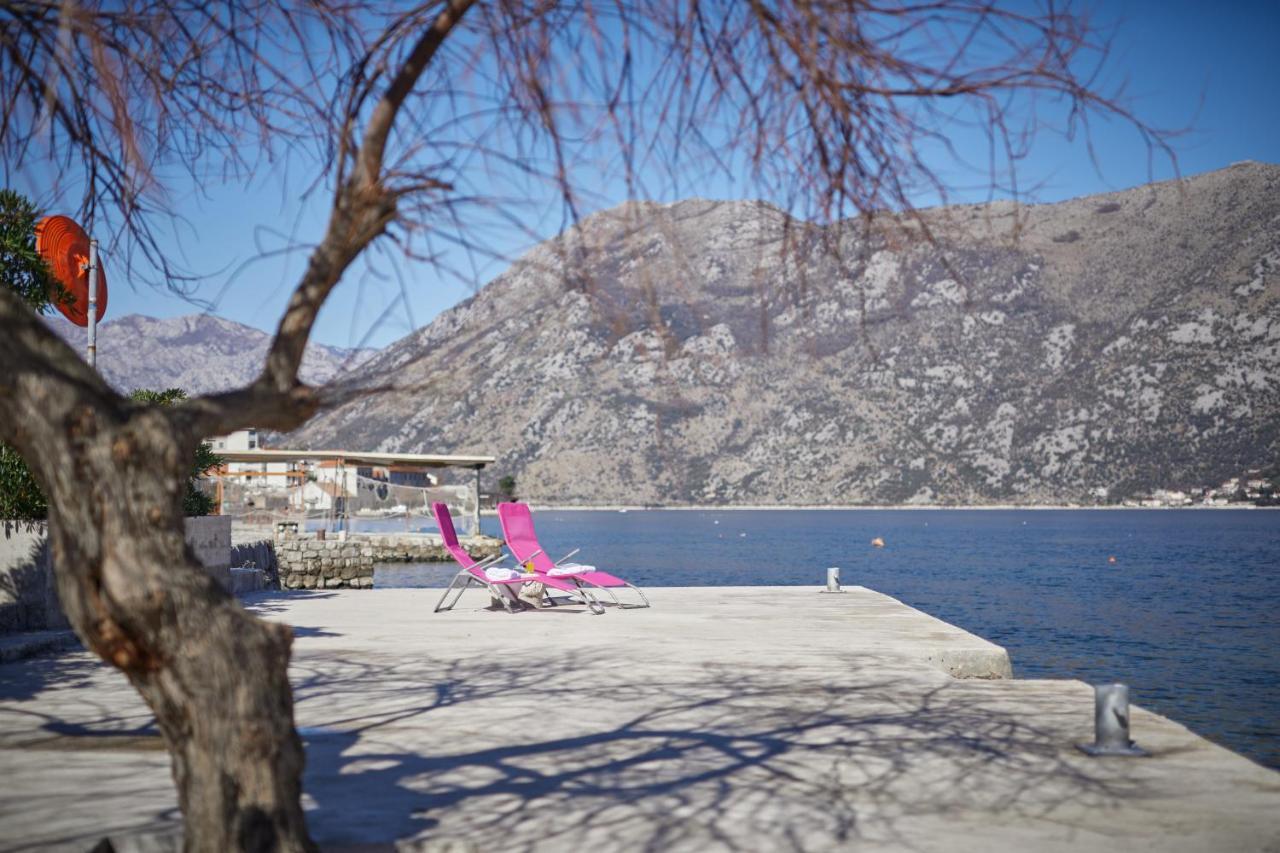 Apartments Pajovic Kotor Dış mekan fotoğraf